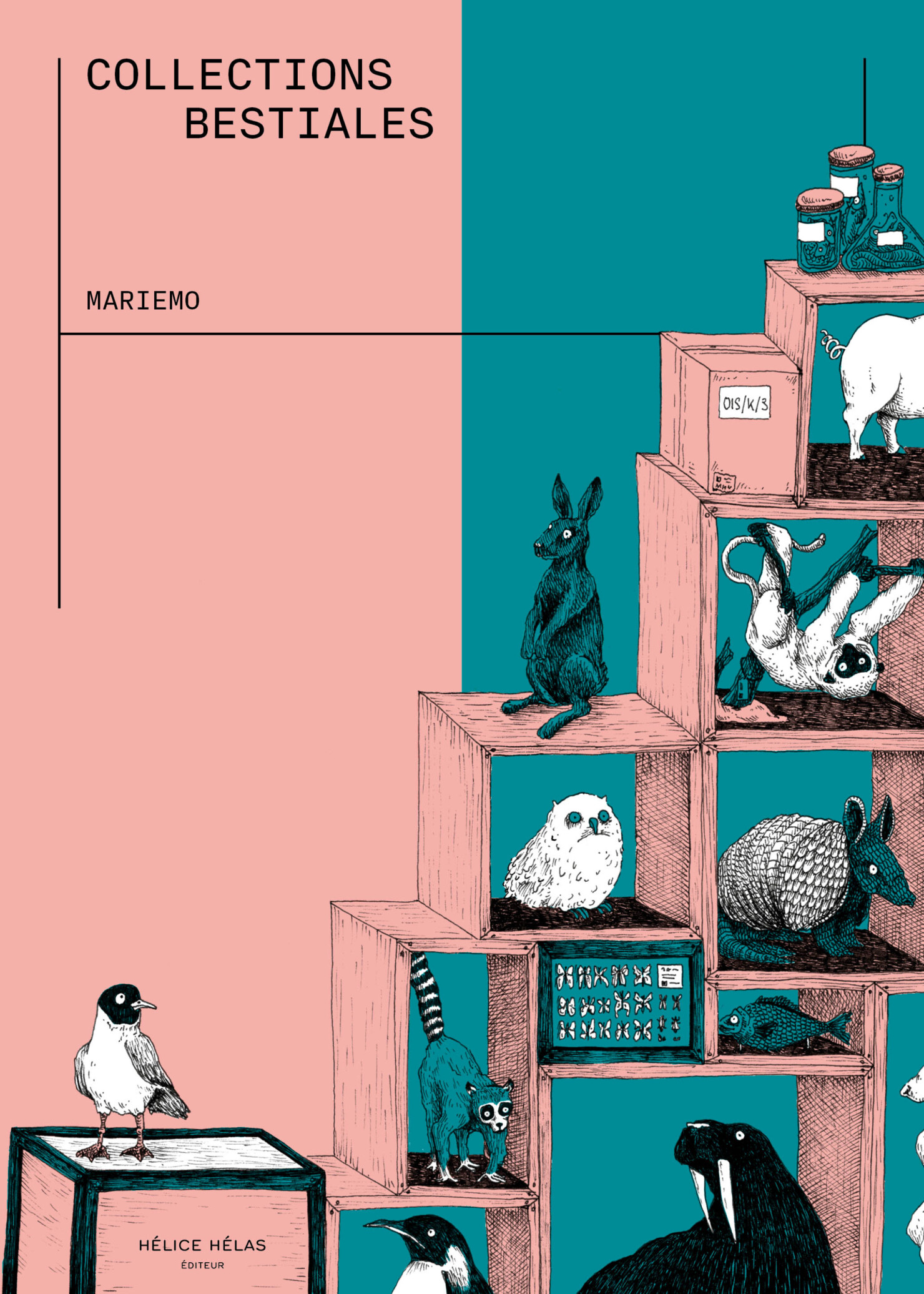 Collections Bestiales